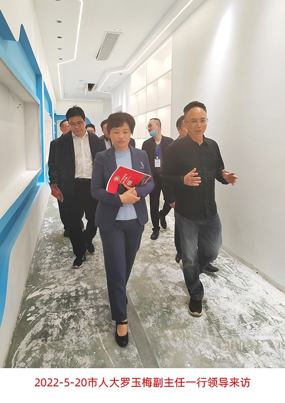 市人大羅玉梅副主任領(lǐng)導來訪